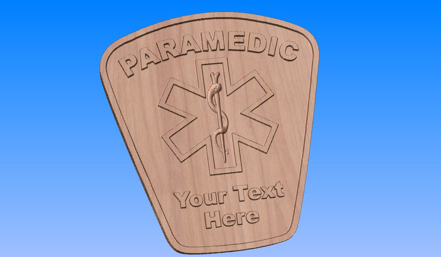 Paramedic Plaque