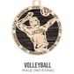 Volleyball Ornaments